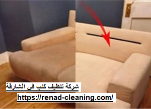 [صورة: شركة-تنظيف-كنب-في-الشارقة.png]