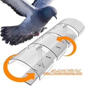 شركة مكافحة الحمام في العين