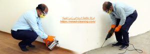 شركة مكافحة الرمة في رأس الخيمة