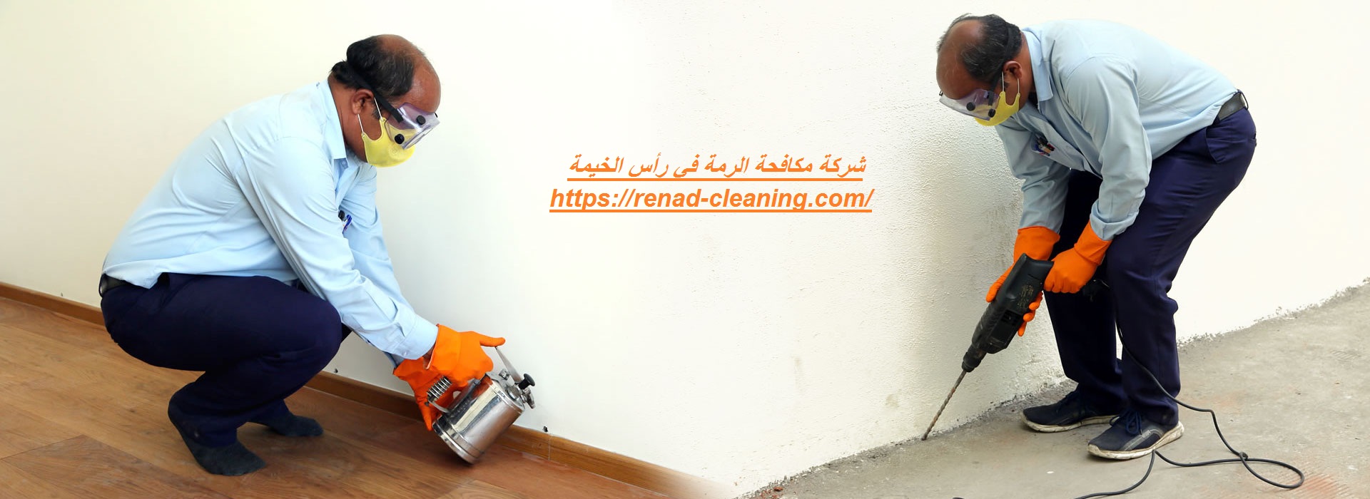 شركة مكافحة الرمة في رأس الخيمة