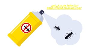 شركة مكافحة حشرات في العين