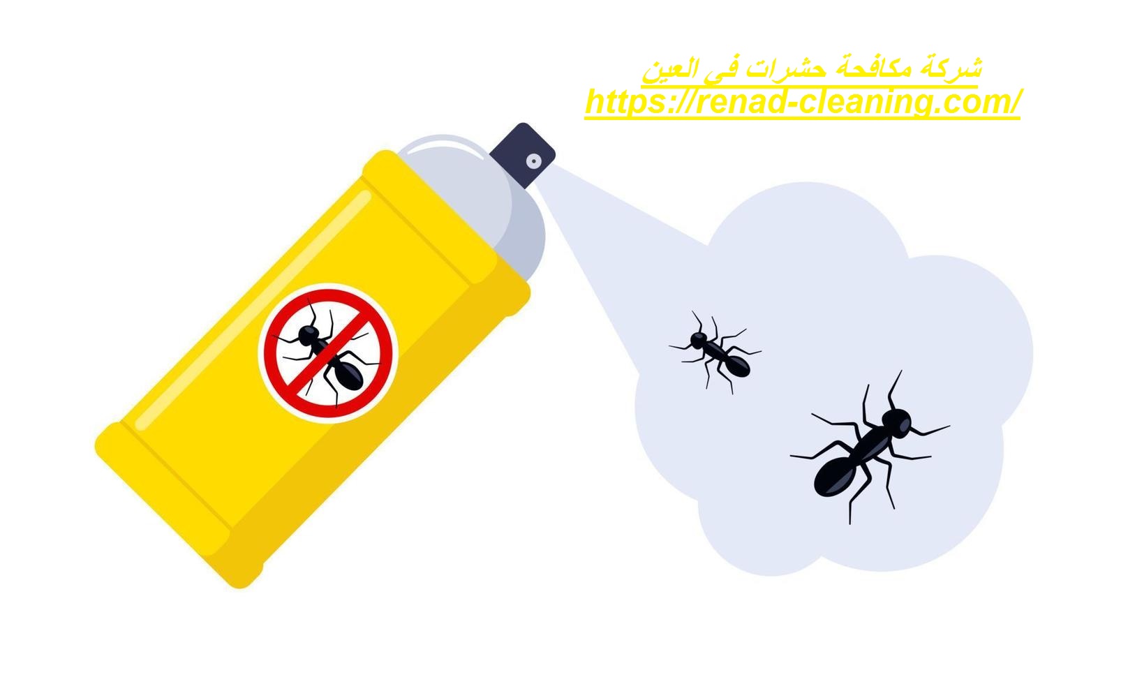 شركة مكافحة حشرات في العين