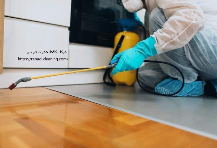 شركة مكافحة حشرات في دبي