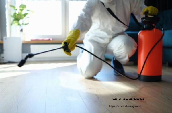 شركة مكافحة حشرات في راس الخيمة