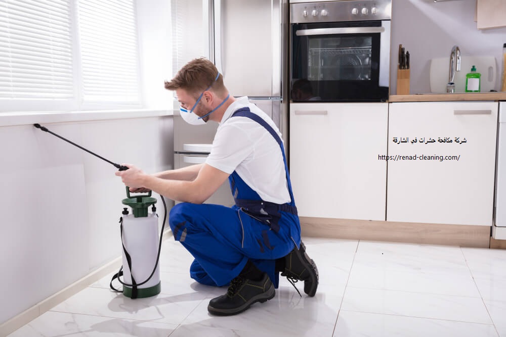 شركة مكافحة حشرات في الشارقة