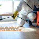 شركة مكافحة حشرات في الفجيرة