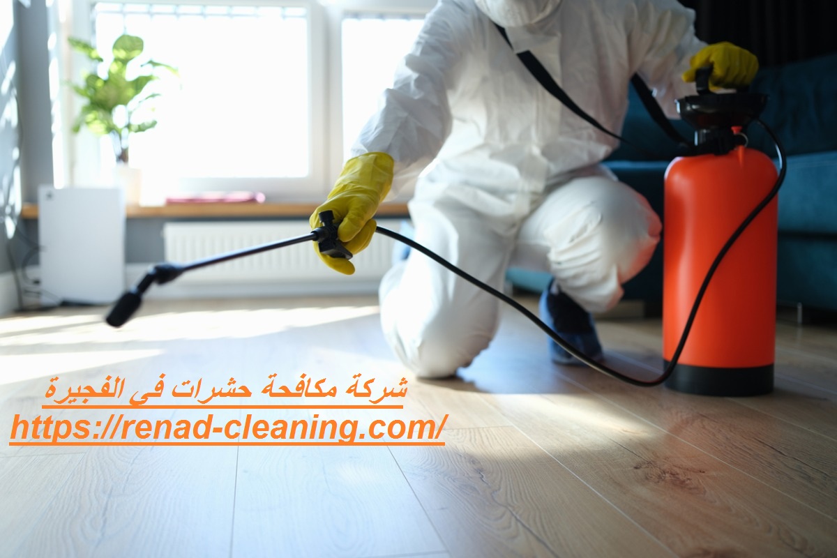 شركة مكافحة حشرات في الفجيرة