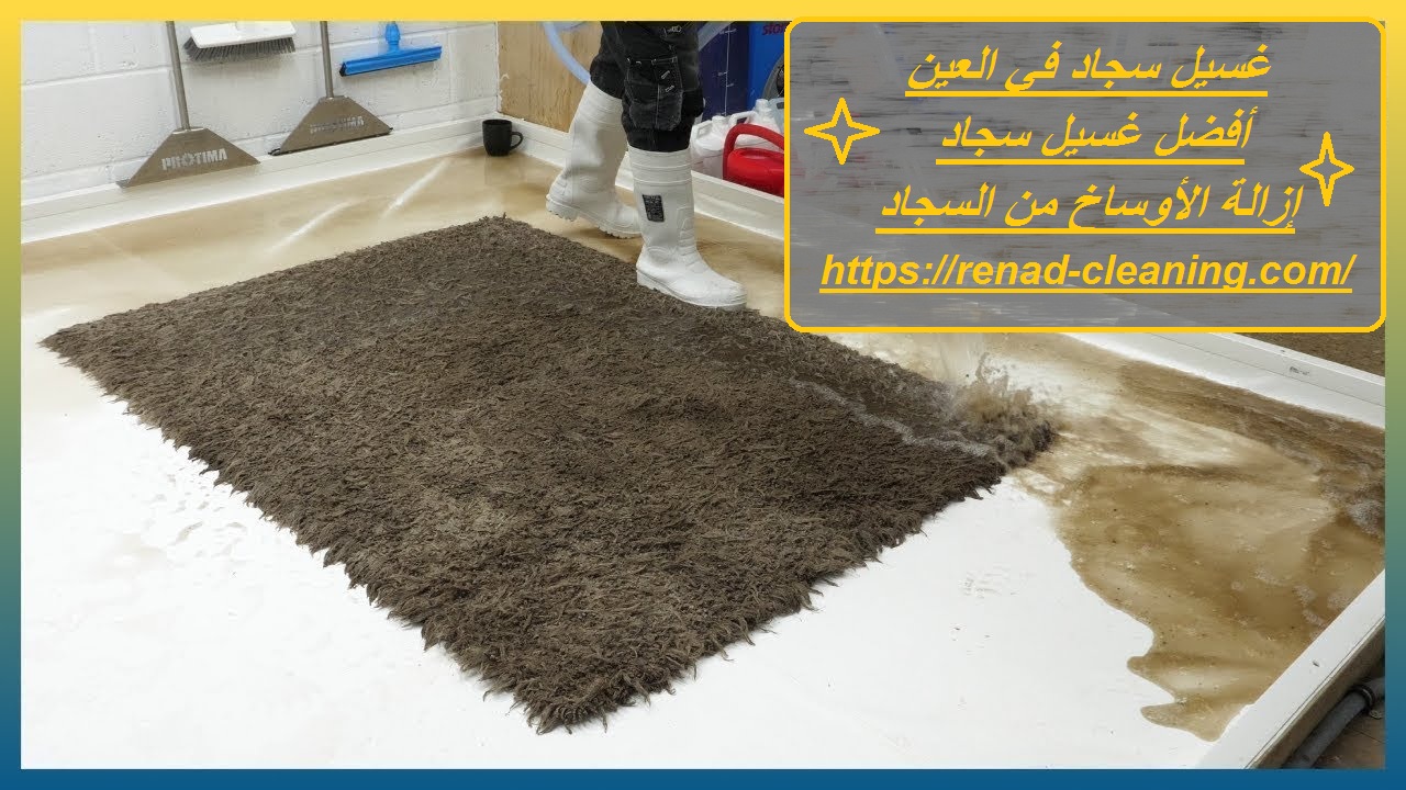 غسيل سجاد في العين