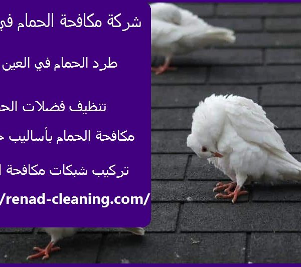 مكافحة الحمام في العين