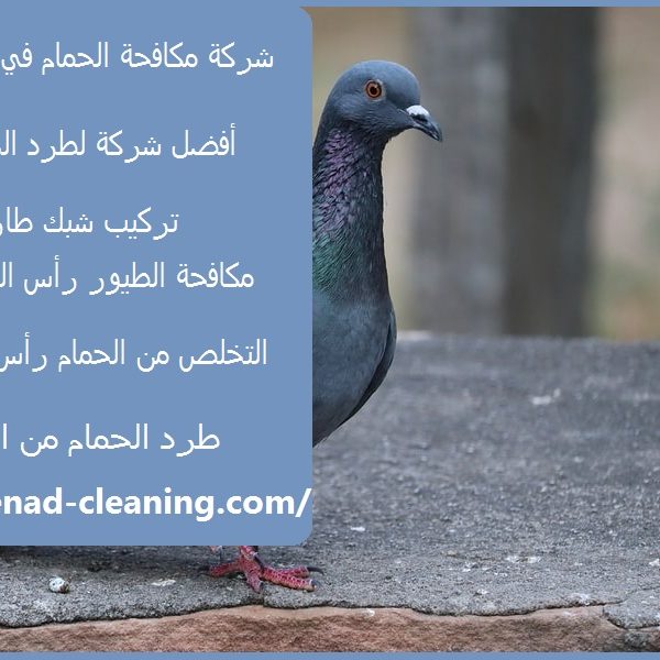 شركة مكافحة حمام فى راس الخيمة