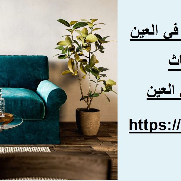 شركة تنظيف أثاث وكنب في العين