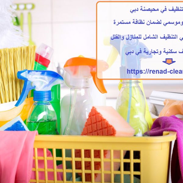 شركة تنظيف في محيصنة دبي
