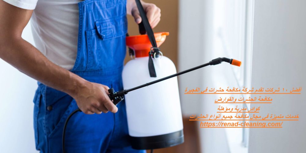 أفضل 10 شركات تقدم شركة مكافحة حشرات في الفجيرة
