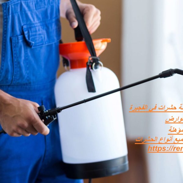 أفضل 10 شركات تقدم شركة مكافحة حشرات في الفجيرة
